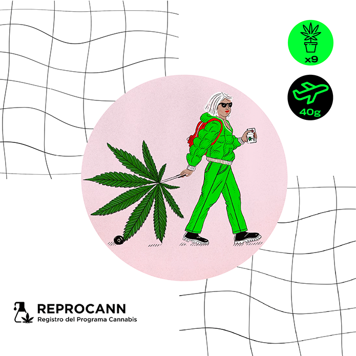 Ilustración CosechaLibre — permiso de cultivo bajo REPROCANN: 9 plantas y 40g