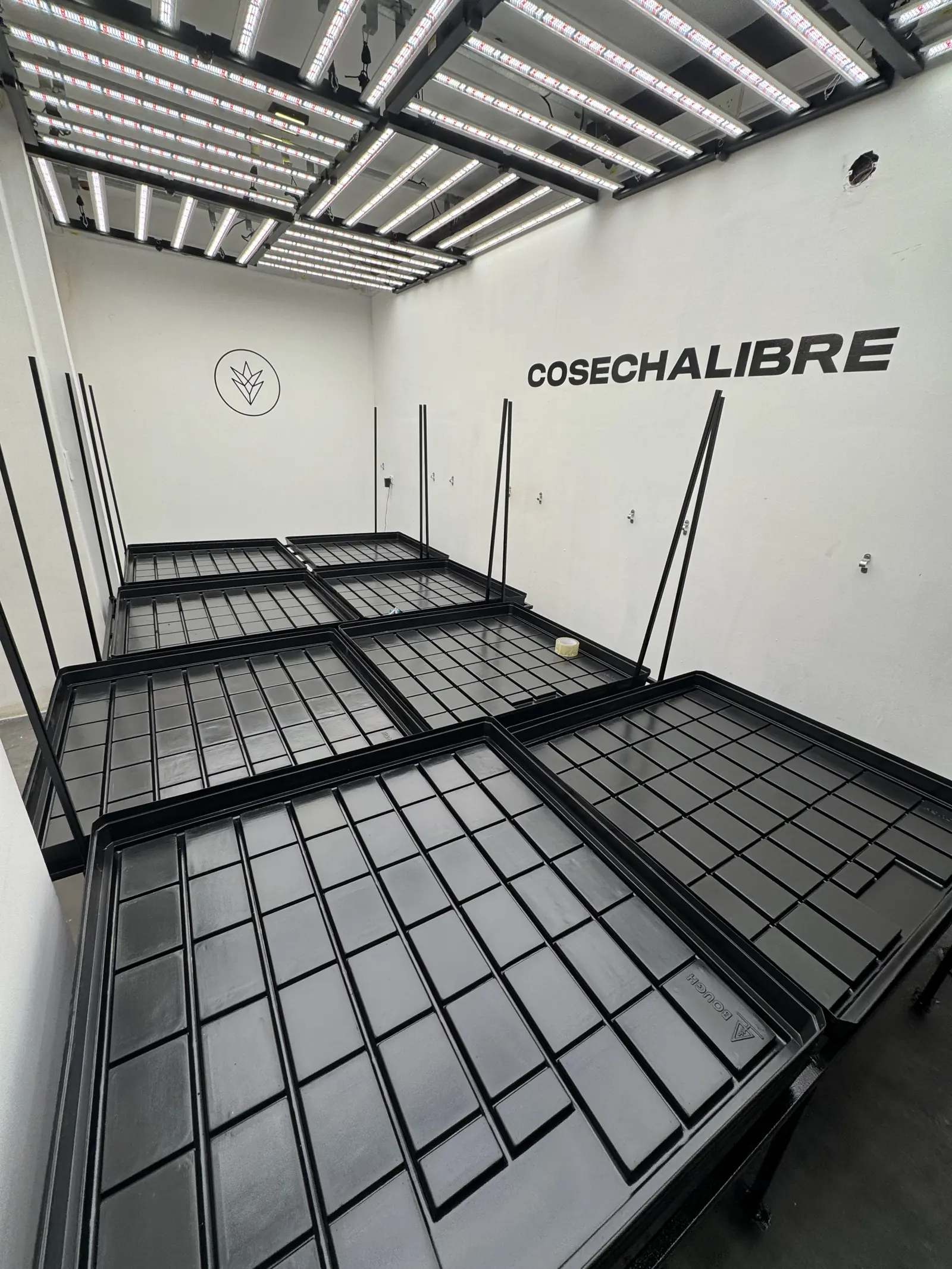 Sala · antes de plantar