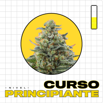 Inscripción al Curso de cultivo principiante