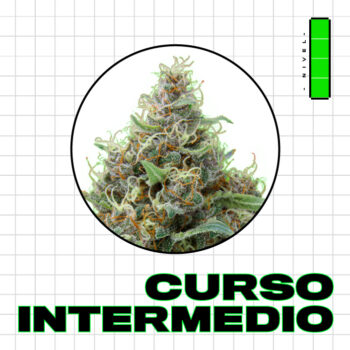 Inscripción al Curso de cultivo intermedio