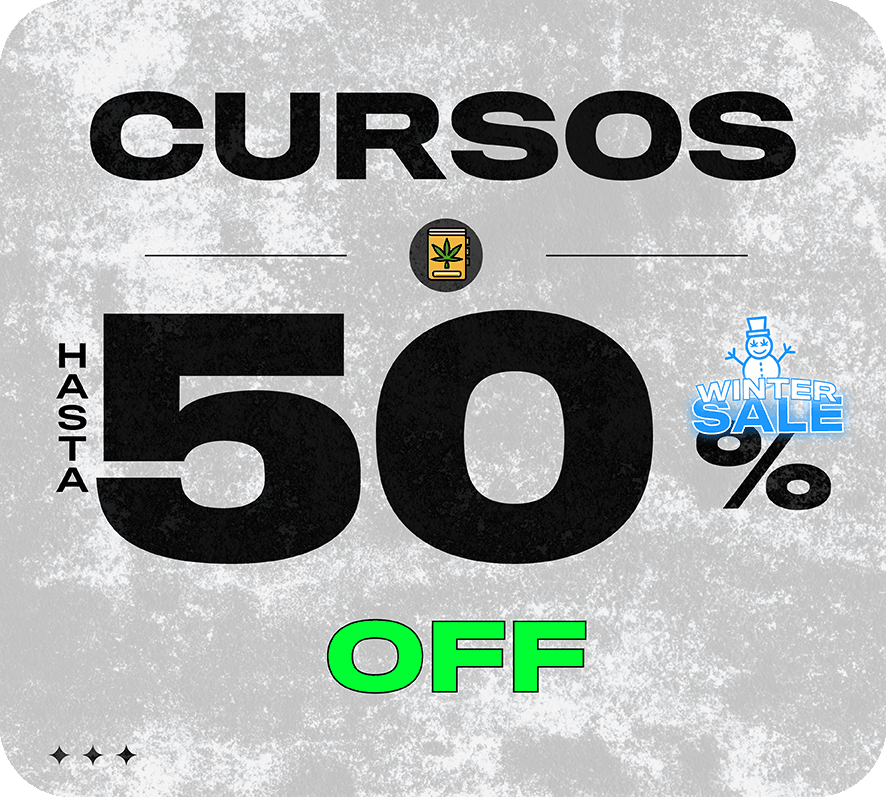 Cursos 50%OFF Winter Sale