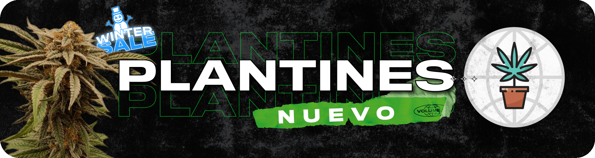 Plantines Nuevo Producto