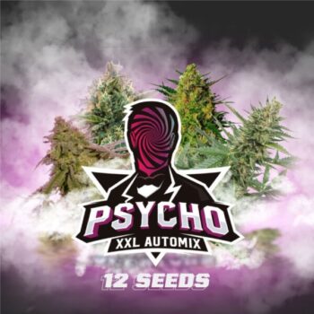 Psycho XXL Automix - BSF Seeds x 12