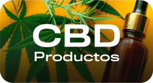 Curso de cultivo - Aprende a cultivar cannabis porr cbd aprender a cultivar curso de cultivo kit cultivo indoor marihuana