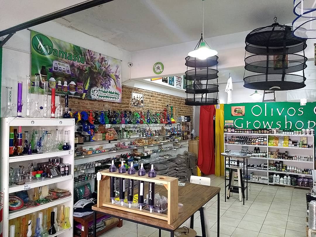 qué son y cuándo empezaron? Cosechalibre