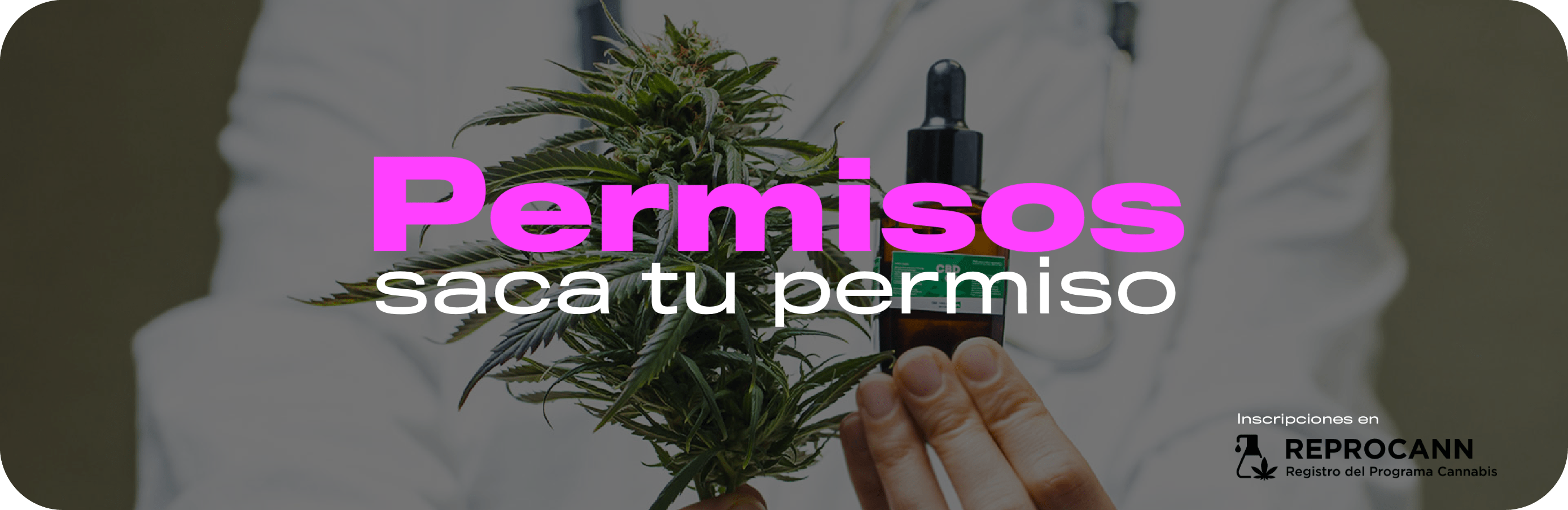 permiso para cultivar cannabis medicinal solidario medicos saca tu turno medico