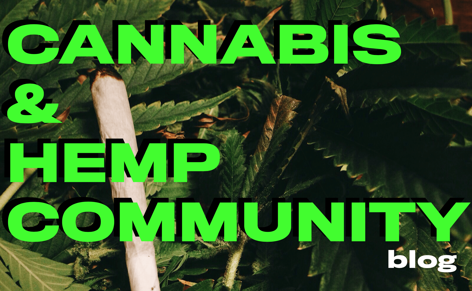 Curso de cultivo - Aprende a cultivar cannabis porr cbd aprender a cultivar curso de cultivo kit cultivo indoor marihuana