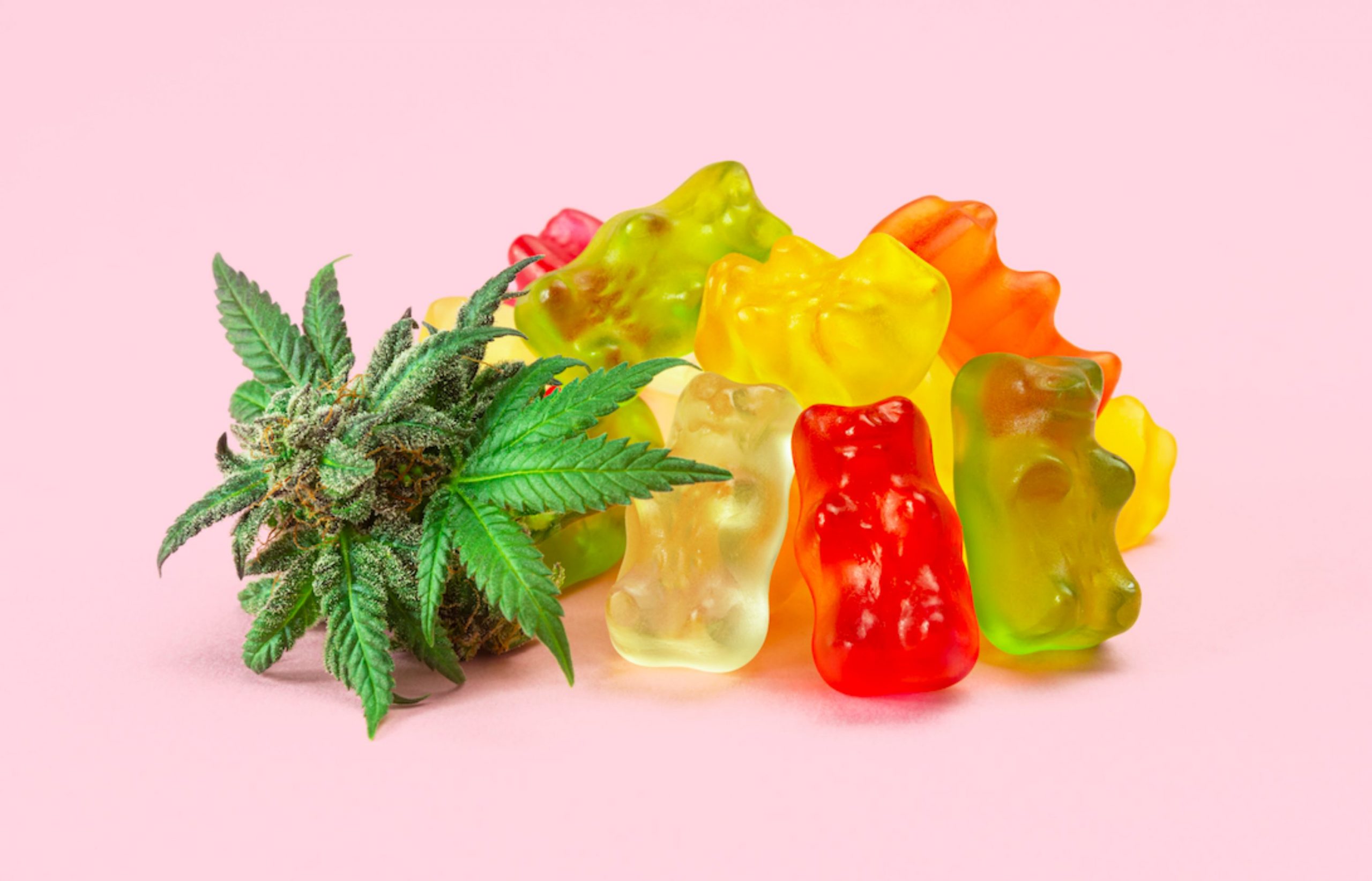 Comidas cannabicas c mo hacer caramelos y chupetines de cannabis