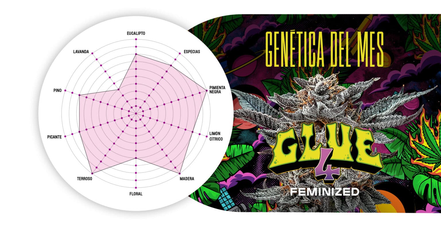 BSF genetica del mes
