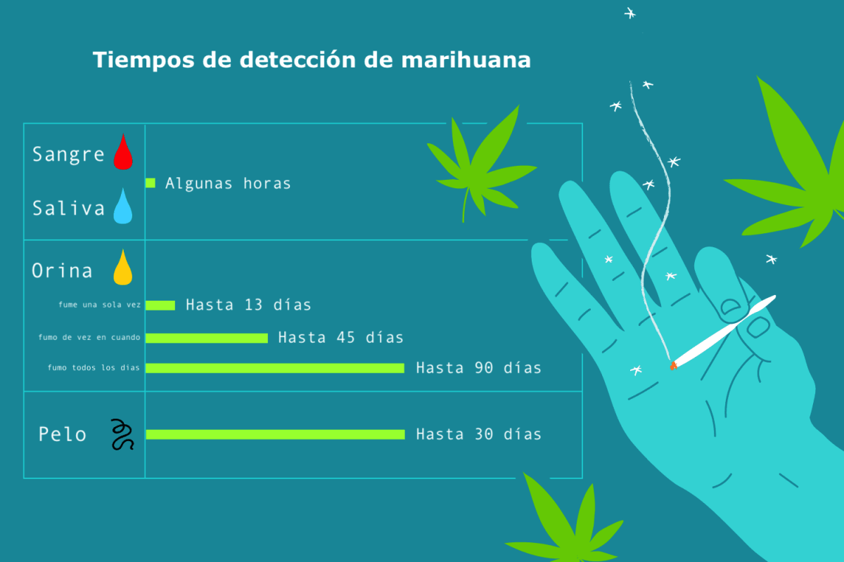 Cuanto dura el THC en tu cuerpo y como eliminarlo