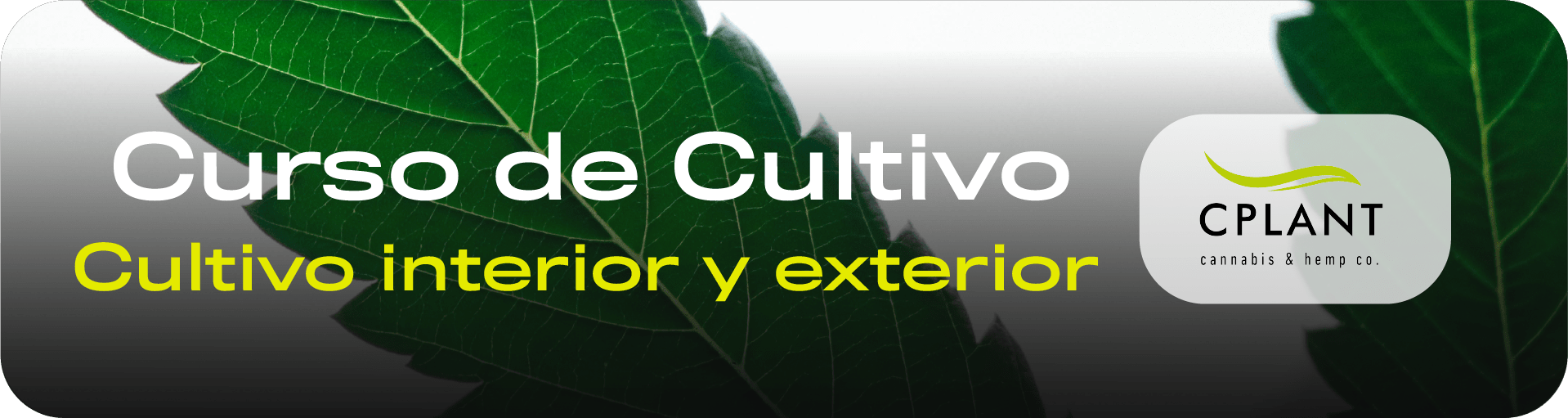 Curso de cultivo