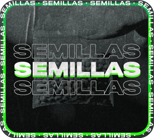01 Semillas