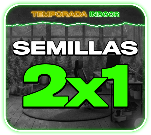01 Semillas