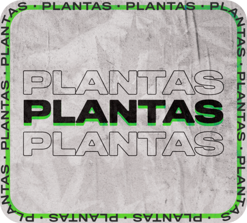 02 Plantas