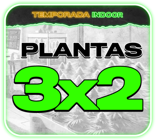 02 Plantas