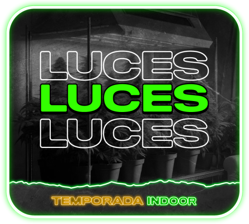 08 Luces