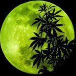 calendario lunar
